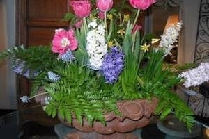 Photo of North Star Antiques & Interiors