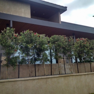 Photo of Down To Earth Landscape Design and Installation