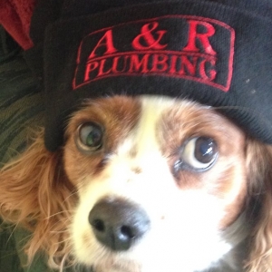 Photo of A & R Plumbing