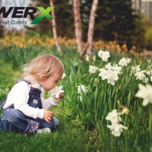 Photo of PowerX