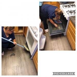 Photo of Desert Flower Cleaning Services