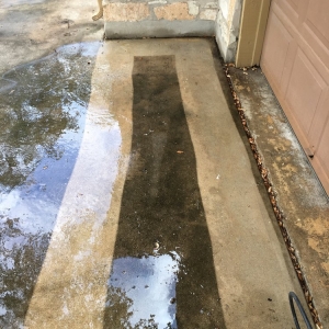 Photo of White Water Renewal