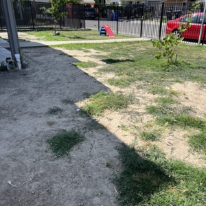 Photo of SLS Spinkler Tech