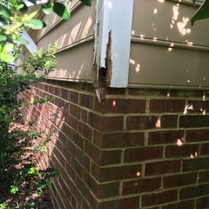 Photo of 5 Star Construction