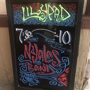 Photo of The Lilypad