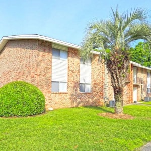 Photo of The Palms Apartments