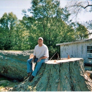 Photo of Cross Cut Tree Services and Landscaping
