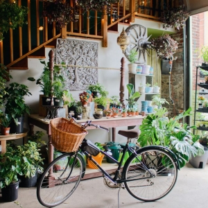 Photo of Urban Jungle