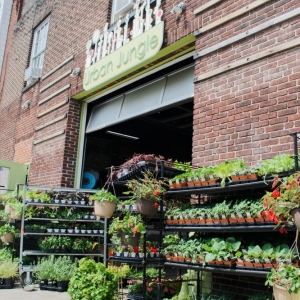 Photo of Urban Jungle