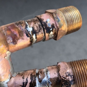 Photo of Hungry Plumber