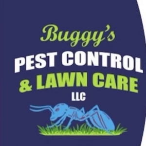 Jacksonville Buggy’s Pest Control & Lawn Care