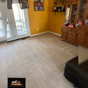 Photo of Ape-X Cleaning and Restoration Services