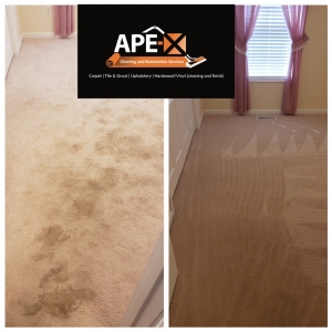 Photo of Ape-X Cleaning and Restoration Services