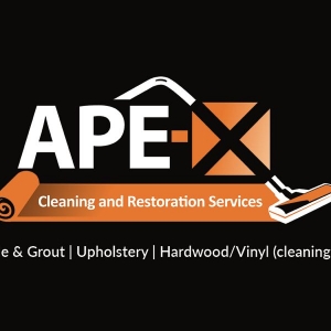 Photo of Ape-X Cleaning and Restoration Services