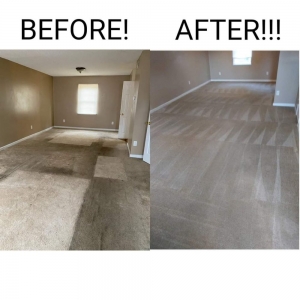 Photo of Palmetto Stone and Carpet Care