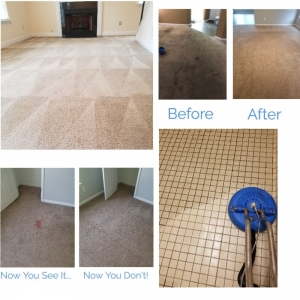 Photo of Palmetto Stone and Carpet Care