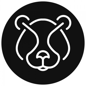 Photo of Nice Grizzly
