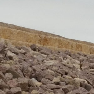 Photo of All Things Masonry