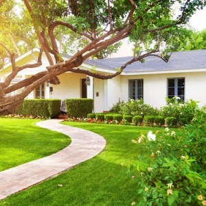 Photo of Lawn & Pest Solutions