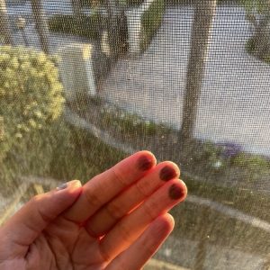 Photo of HB Window Washing