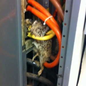 Photo of A C Desert Electric