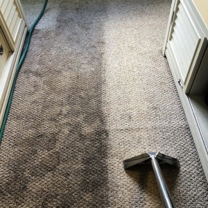 Photo of Full House Cleaning Services