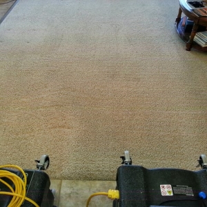 Photo of Randall Carpet Care