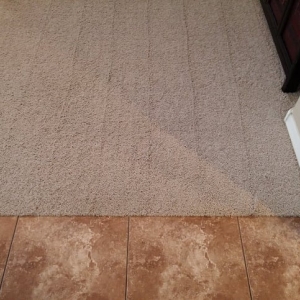 Photo of Randall Carpet Care