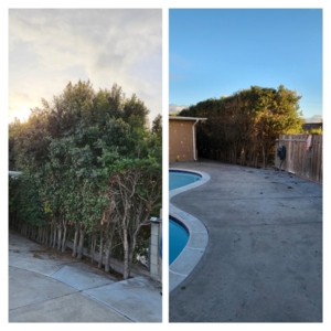 Photo of Torrescape San Diego