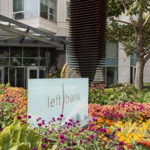 Photo of Left Bank