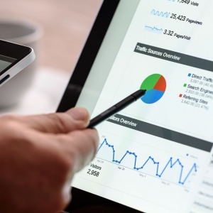 Photo of Bull Market SEO