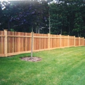Photo of Bump Fence