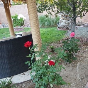 Photo of Schilling Horticulture Group