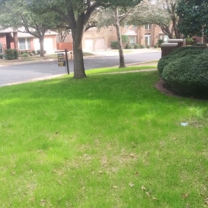Austin E. Wilson's Landscaping