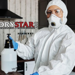 Photo of Drystar Restoration