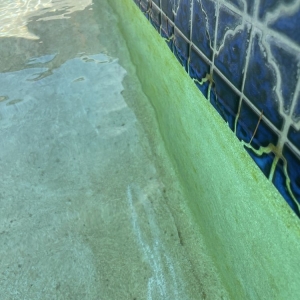 Walnut Creek Ariel Pools