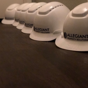 Photo of Allegiant Property Solutions