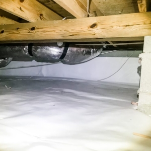 Photo of Back Bay Pest & Mosquito