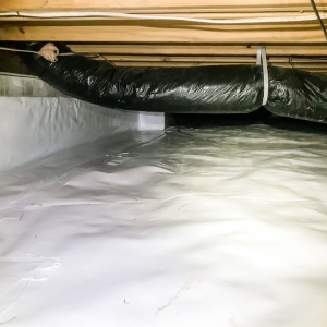 Photo of Back Bay Pest & Mosquito