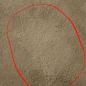 Photo of Chem-Dry of Brentwood