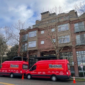 Photo of Washington Water Damage & Cleaning Services