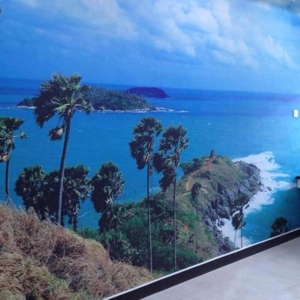 Photo of Pith Wallpaper House