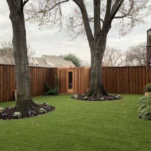Photo of The Perfect Lawn