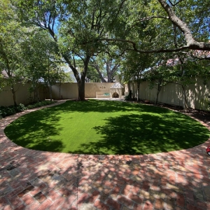 Photo of The Perfect Lawn