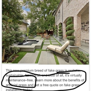Photo of The Perfect Lawn