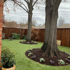 Photo of The Perfect Lawn