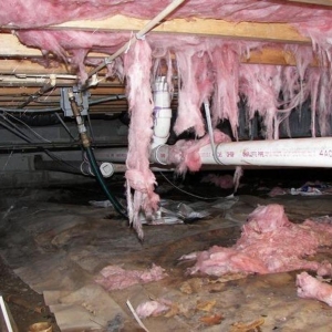 Photo of Specialized Foam and Coatings
