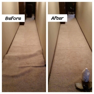 Photo of KPA Carpet Cleaning Services