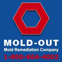 Photo of MOLD-OUT Services