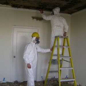 Photo of MOLD-OUT Services